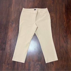 Ann Taylor Dress Pants